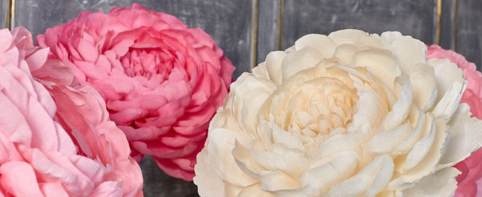 Цветы пионы из гофрированной бумаги: пошаговый мастер-класс Как сделать большие пионы из гофрированной бумаги