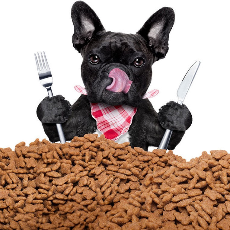 Каким кормом кормить щенка французского бульдога фото