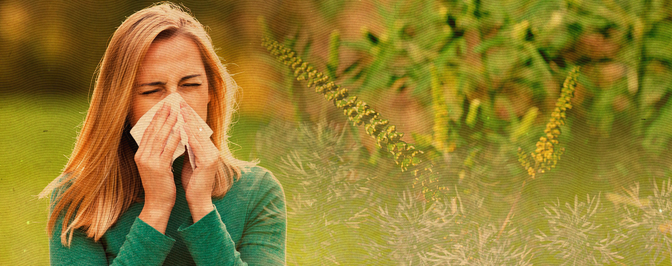 На что может быть аллергия осенью Аллергия осенью