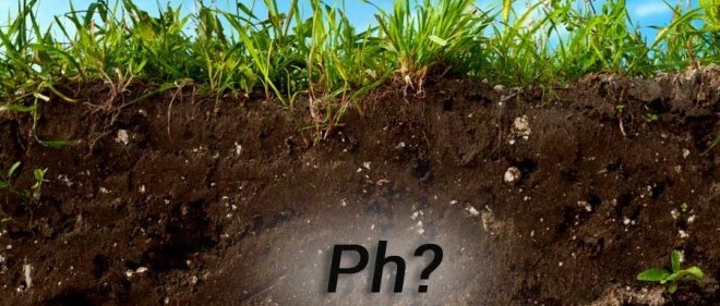 Как проверить кислотность почвы