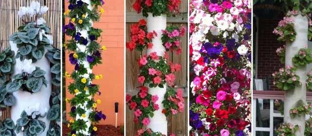 Вертикальные клумбы из подручных средств Вертикальные клумбы