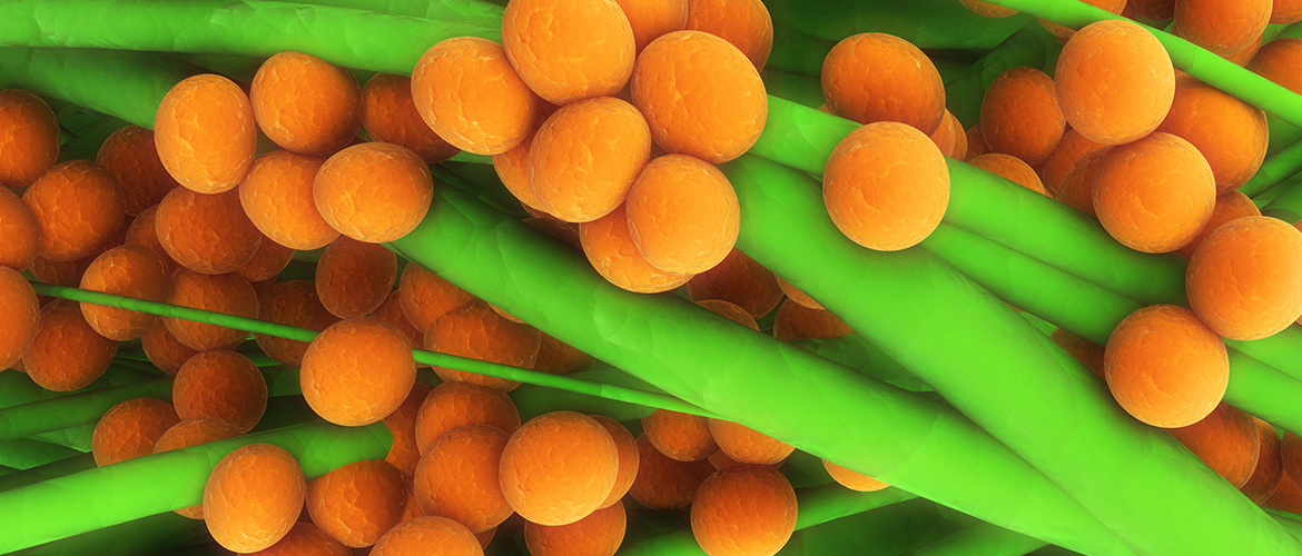 Стафилококк у новорожденных — как распознать и вылечить? Стафилококк у новорожденного