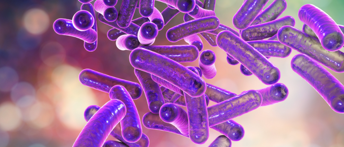 Что такое дизентерия у детей: симптомы и лечение Возбудитель дизентерии