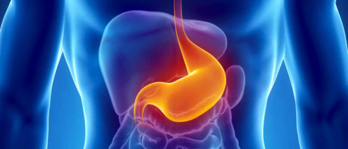 Язва желудка у взрослых: симптомы и лечение Язва желудка