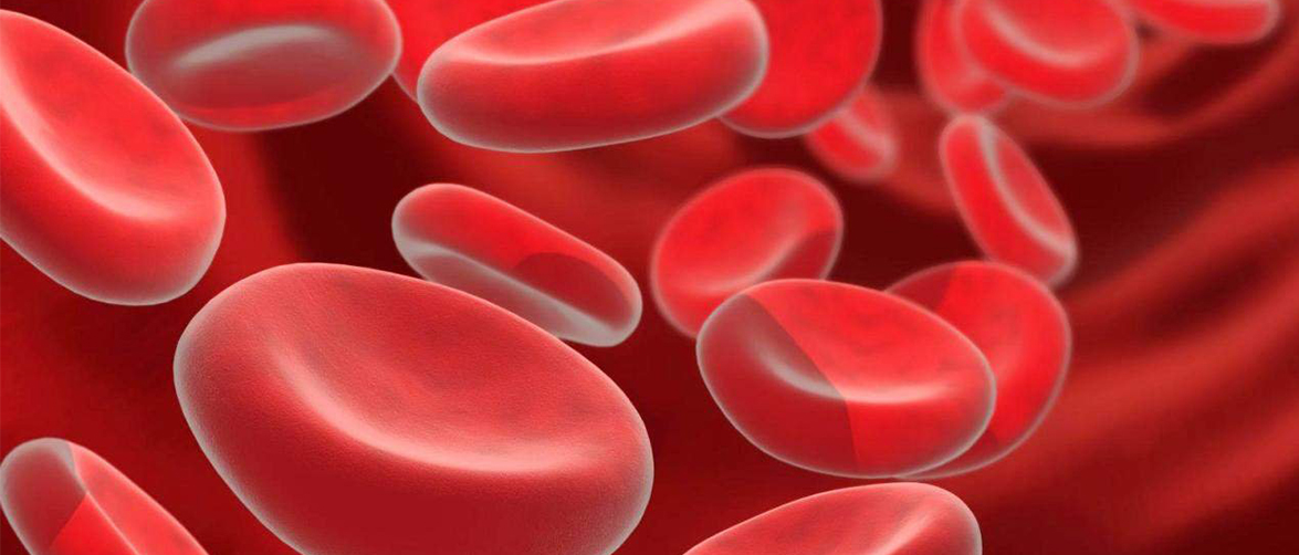 Пониженный гемоглобин у женщин: симптомы и последствия Снижение гемоглобина