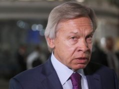 Пушков отреагировал на готовность Украины «простить» нацистскую Германию