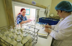 В России упразднили советскую норму выдачи молока «за вредность»