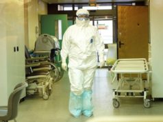 Биолог рассказала о выработке иммунитета у переболевших коронавирусом