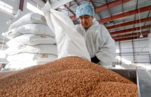 ФАС выявила картельное соглашение на рынке гречневой крупы