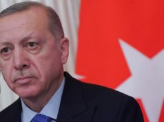 Турецкий политолог объяснил стремление Эрдогана контролировать Идлиб