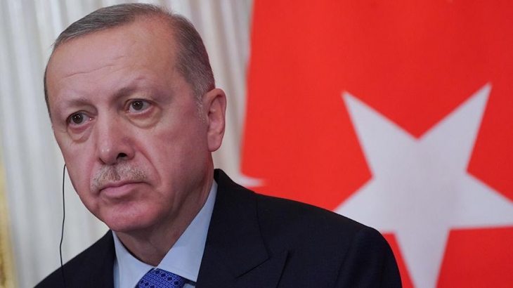 Турецкий политолог объяснил стремление Эрдогана контролировать Идлиб