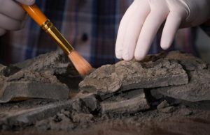 В Великом Новгороде нашли редкую средневековую печать