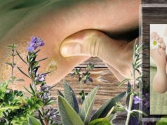 Чистотел от мозолей со стержнем и натоптышей на ногах: способ применения