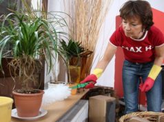 Роспотребнадзор выпустил рекомендации по дезинфекции помещений