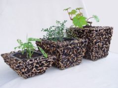 Идеи для самостоятельного изготовления кашпо