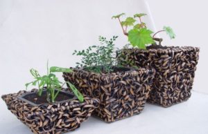 Идеи для самостоятельного изготовления кашпо