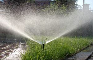 Виды автополива: выбираем оптимальный вариант для сада