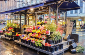 Сервис доставки цветов, на что обращать внимание?