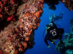 Сделай подарок любителю дайвинга