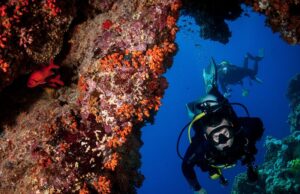 Сделай подарок любителю дайвинга