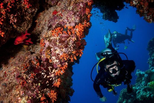 Сделай подарок любителю дайвинга