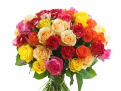 Выбираем цветы для праздника