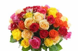 Выбираем цветы для праздника