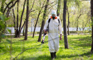 Быстрая обработка зоны от клещей