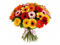 Букеты из гербер
