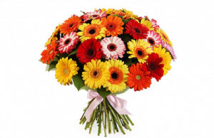 Букеты из гербер