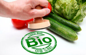 Покупаем органическую продукцию от Dash Market