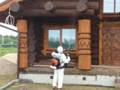 Обработка дома от короеда