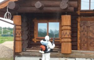 Обработка дома от короеда