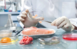 Для чего проводится экспертиза пищевых продуктов