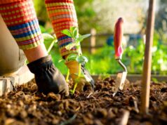 Интересные советы для садоводов