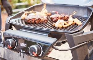 Готовка на гриле: выбираем свой
