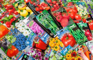 Все для огорода: от семян до удобрений