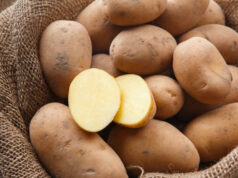 Королева Анна: особенности сорта картофеля