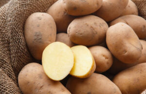 Королева Анна: особенности сорта картофеля