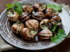 Что такое съедобные улитки