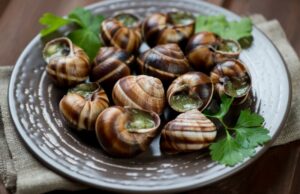 Что такое съедобные улитки