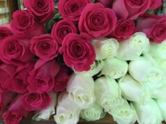 Особенные букеты из эквадорских роз