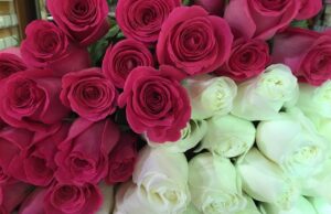 Особенные букеты из эквадорских роз