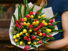 Прекрасные тюльпаны в подарок любимым