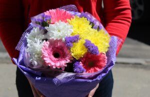 Букет из гербер: для какого случая подойдет