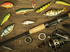 Что необходимо каждому рыболову: от удилищ до прикормки