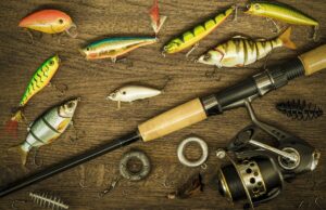 Что необходимо каждому рыболову: от удилищ до прикормки