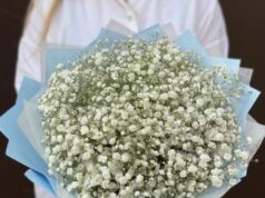 Букеты из Сухоцветов: Преимущества и Особенности