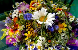 Нежные букеты из полевых цветов