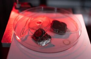 Бионический глаз Phoenix99 готов к испытаниям на людях